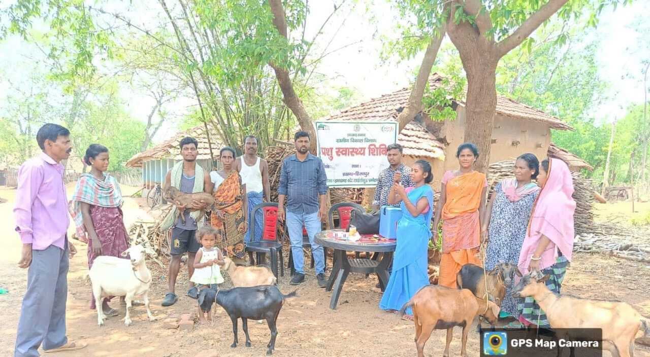 20 हजार से अधिक बकरियों को पिलायी गयी कृमिनाशक दवा