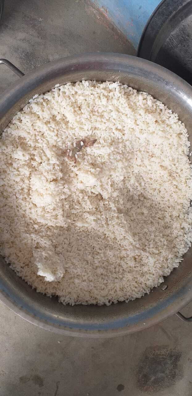 मध्याह्न भोजन में मरी छिपकली मिलने से हड़कंप