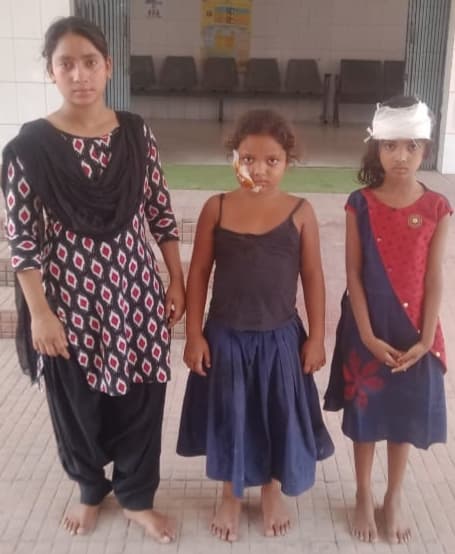 आवारा कुत्ते ने एक दर्जन बच्चों को काटा, भर्ती