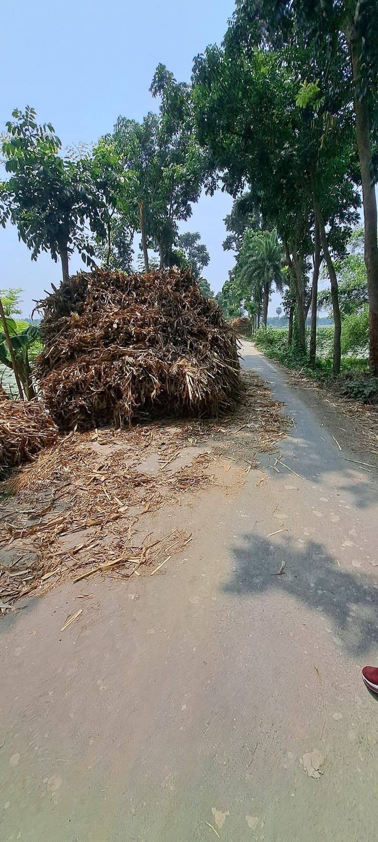 सड़क के बीचों बीच मक्का का बगरा रखे जाने से आवागमन प्रभावित