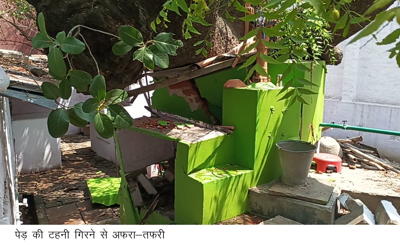 वर्षों पुराना नीम का पेड़, मस्जिद हुई क्षतिग्रस्त