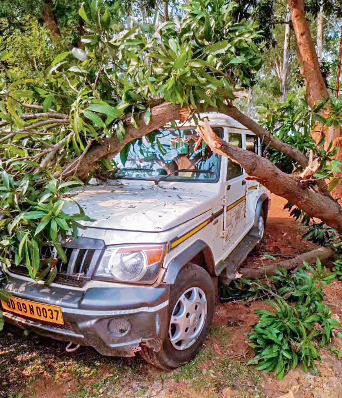 West Singhbhum News : जैंतगढ़ में आंधी- बारिश से क्षति, 30 घंटे से बिजली गुल