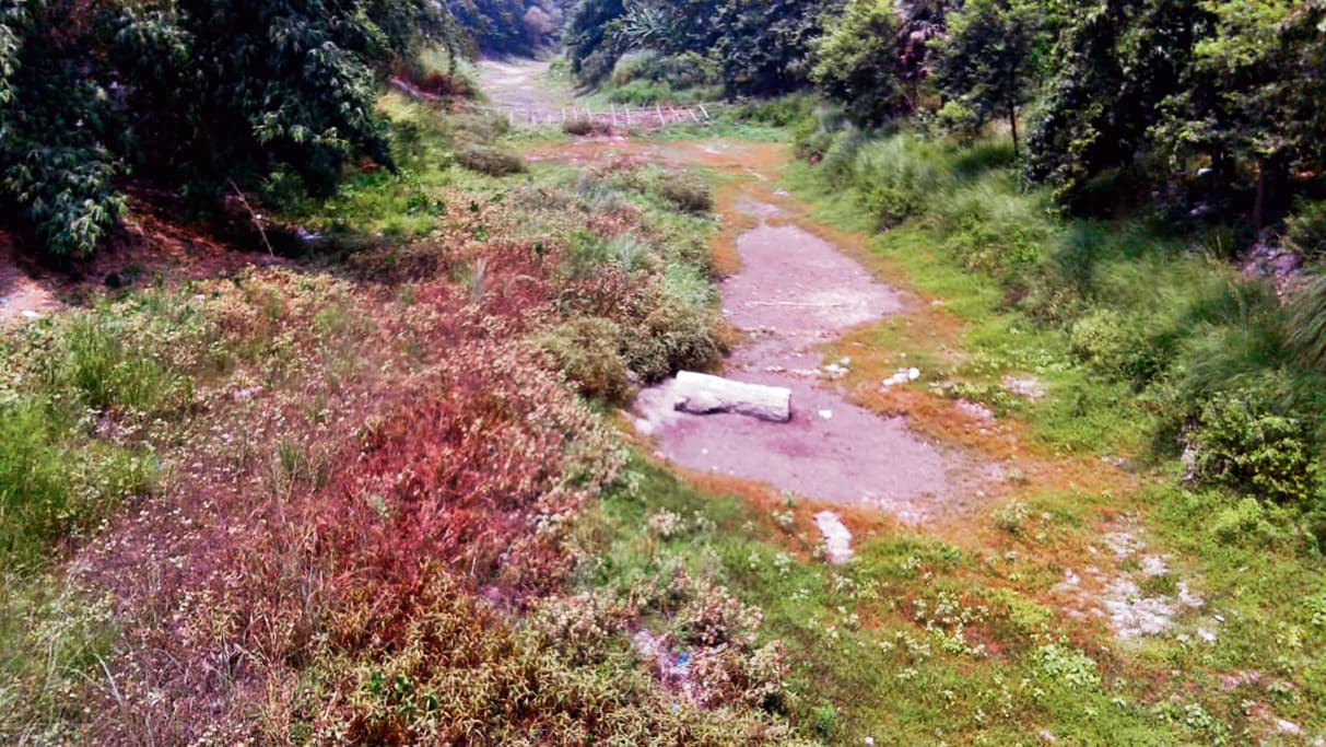 hajipur news. वाया नदी में पानी नहीं होने से किसानों को हो रही परेशानी