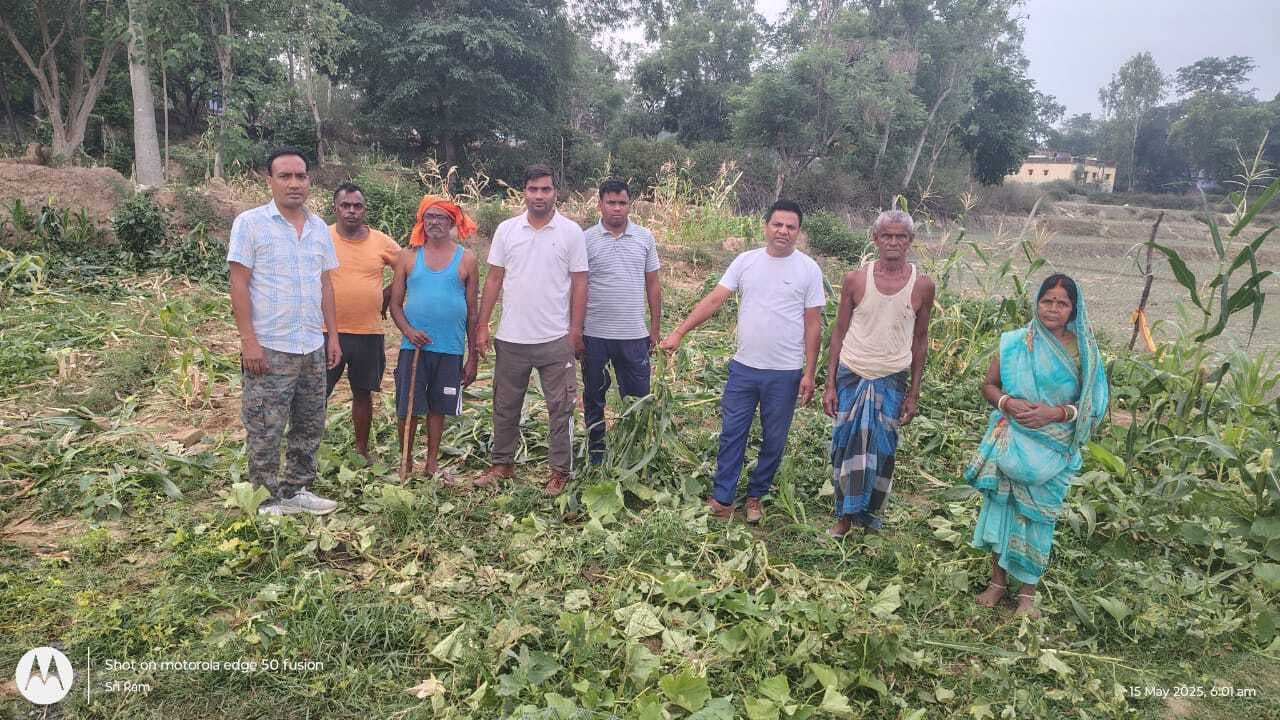 Giridh News :32 हाथियों के झुंड ने मचाया उत्पात, फसलों को रौंदा