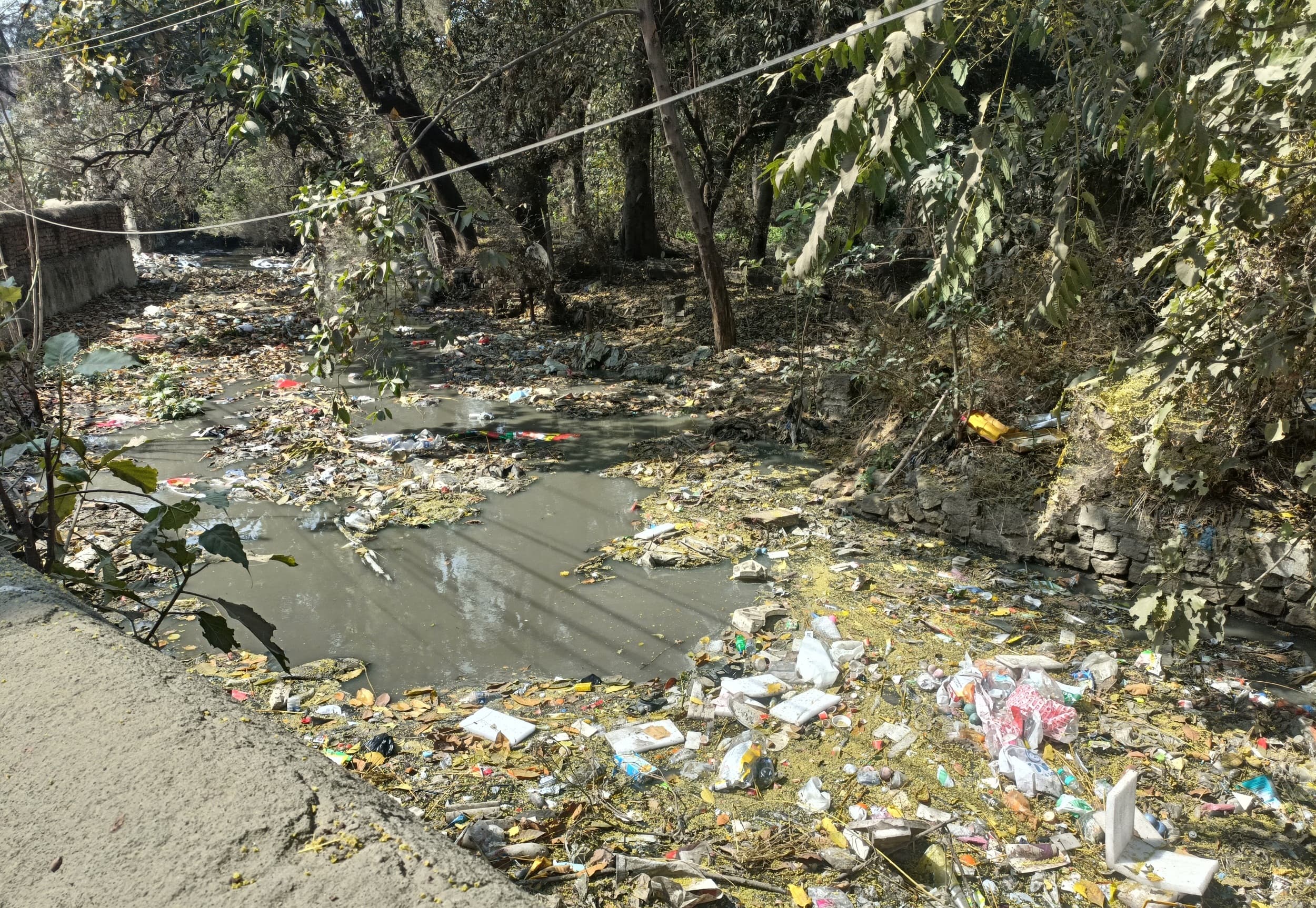 Bokaro News : मॉनसून आने के पूर्व अगर सिंगारी जोरिया की सफाई नहीं हुई तो फिर डूबेगा चास व चीराचास