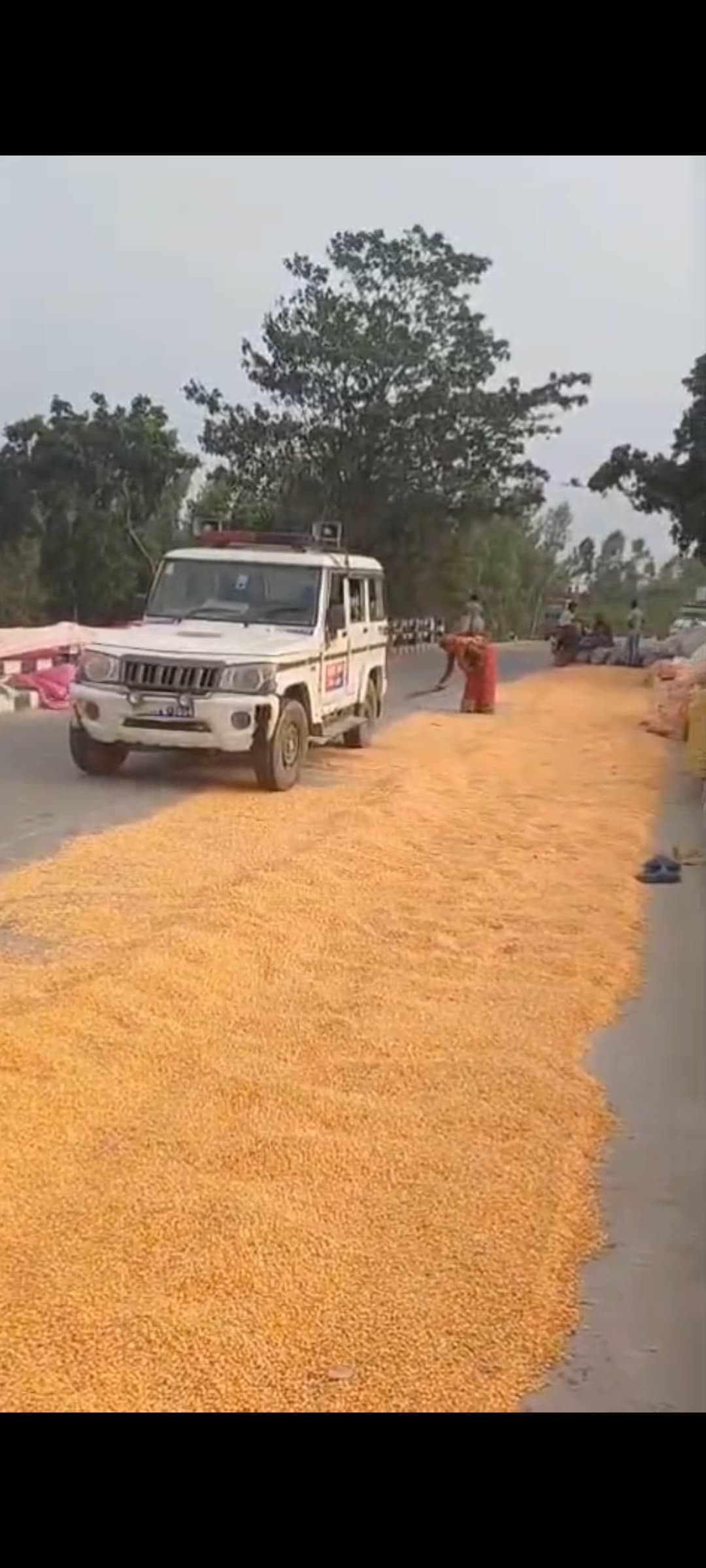 सड़क पर मक्का सुखाते पकड़े जाने पर मक्का कर ली जायेगी जब्त