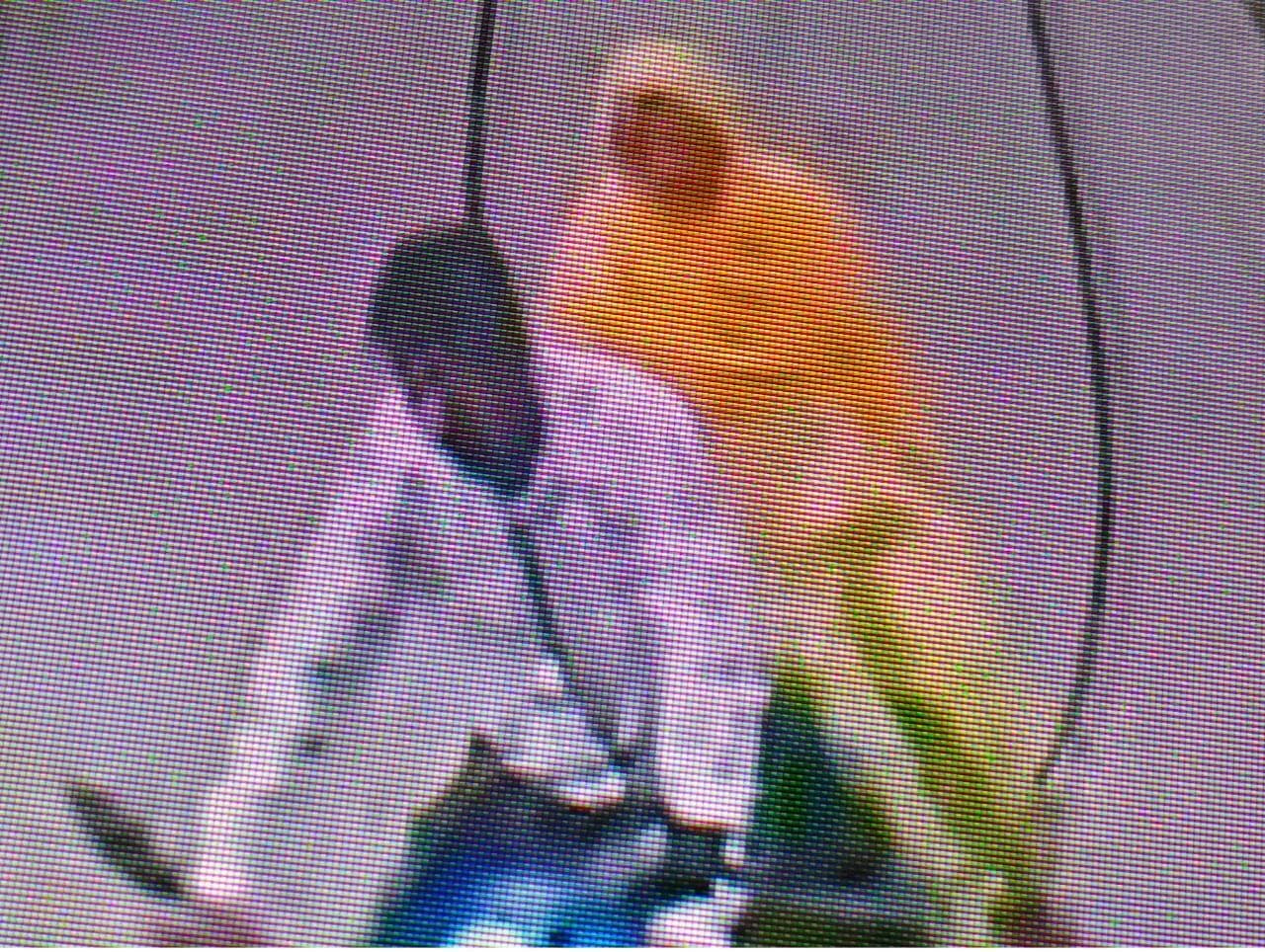 रिश्तेदार बन महिला को सुनसान जगह ले जाकर सोने की बाली लूटी