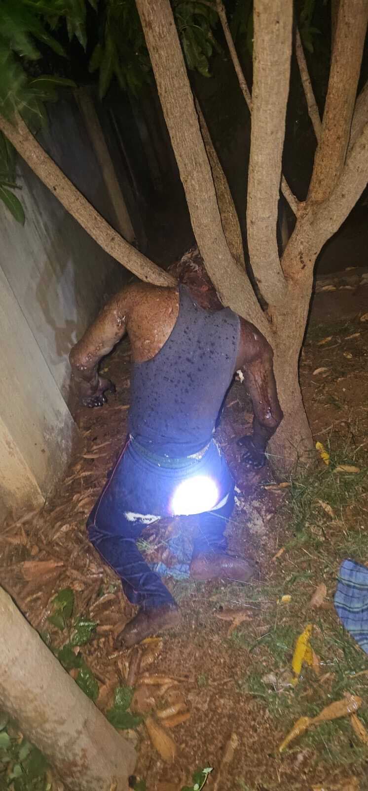 आम के पेड़ पर मिला युवक का शव, हत्या की आशंका