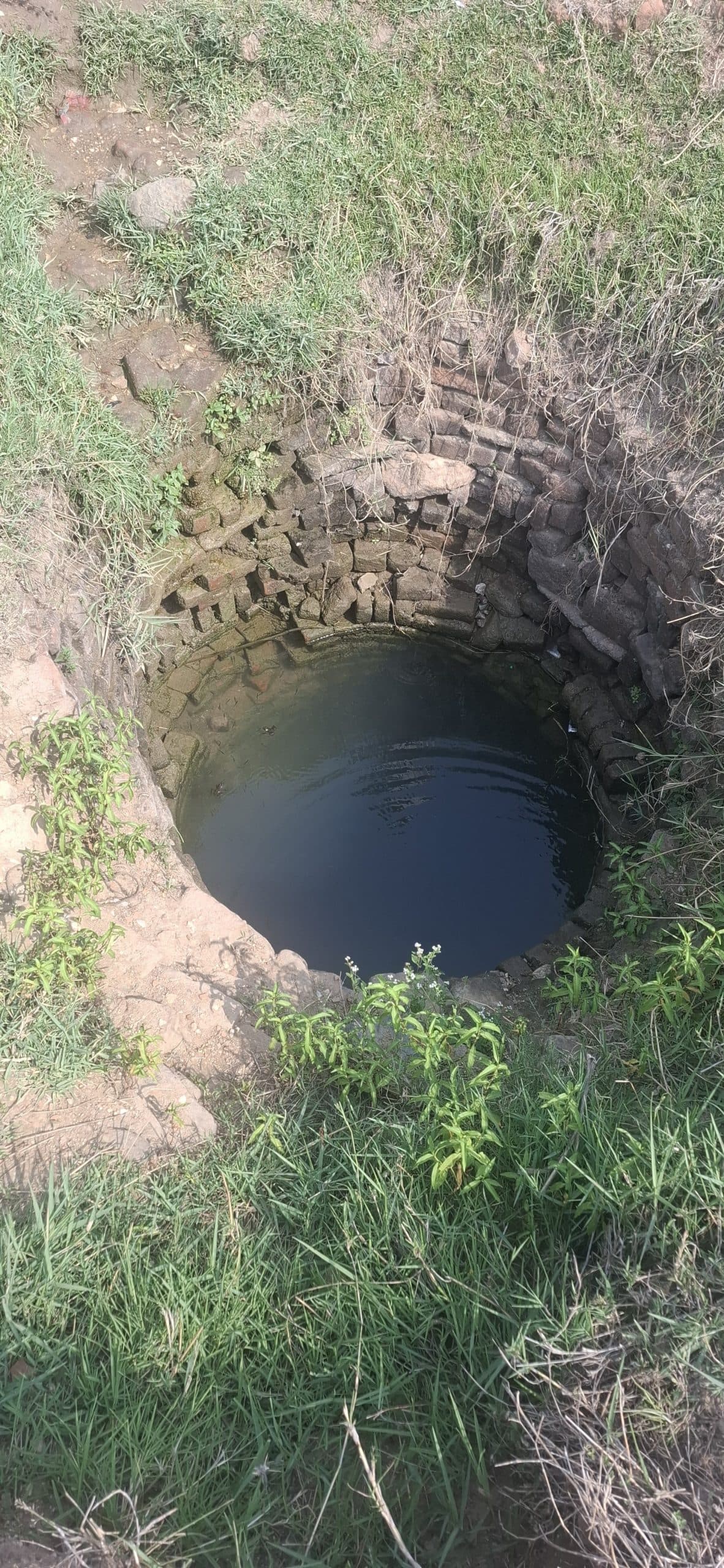 Giridih News :खेत में बनी डांड़ी मधरापुर टोला के लोगों का सहारा