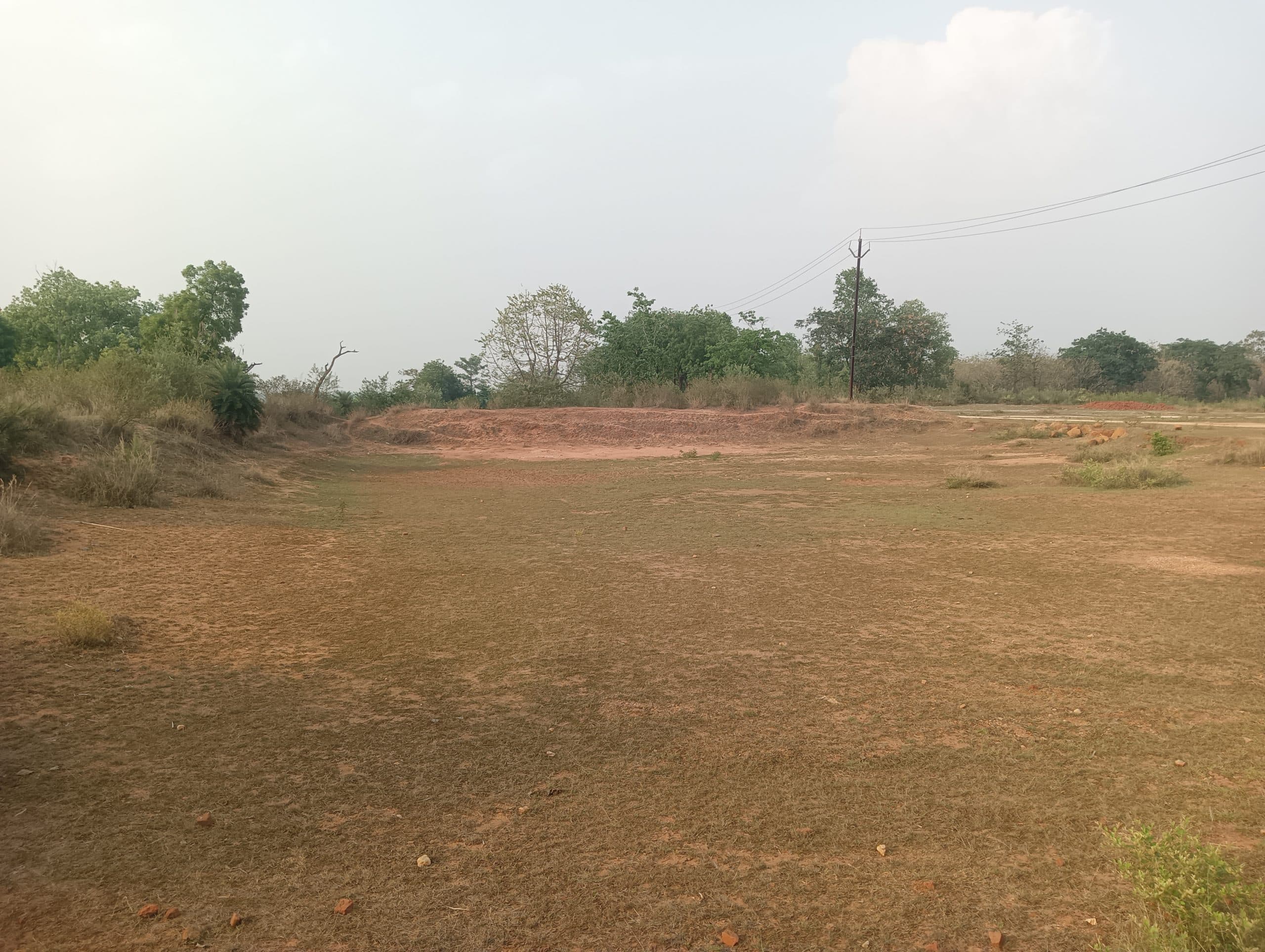 Giridih News :सूख रहे ताल-तलैया, पानी के लिए भटक रहे बेजुबान पशु-पक्षी