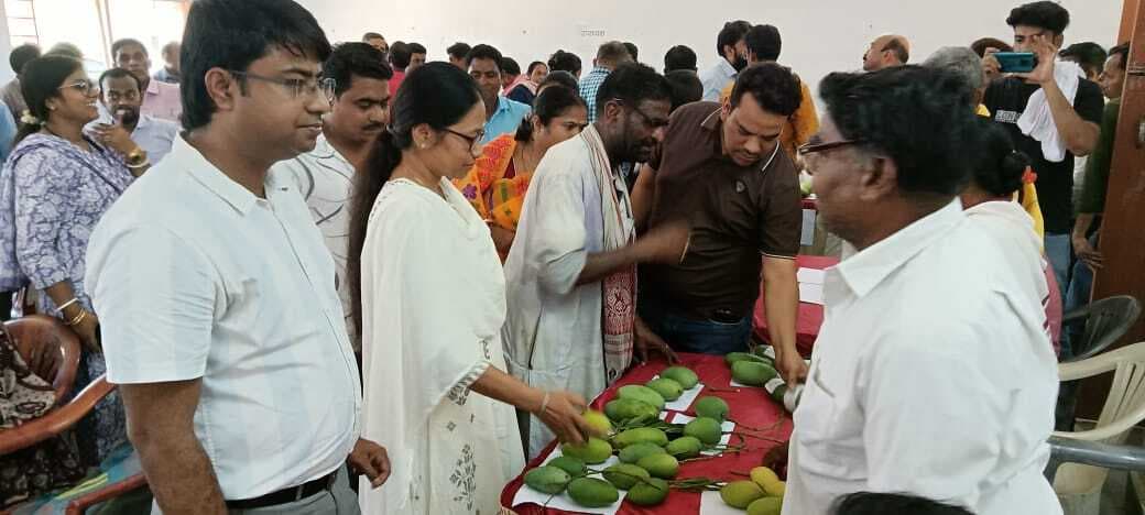 Jamshedpur news. जिले के किसानों के पैदा किये गये आम को मिलेगा बाजार