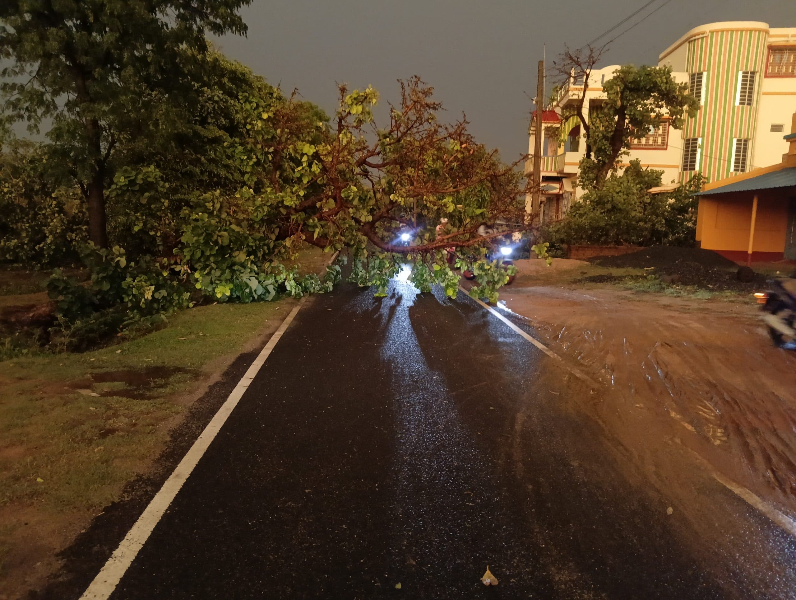 आंधी बारिश से सड़क पर गिरा पेड़, बिजली हुई गायब