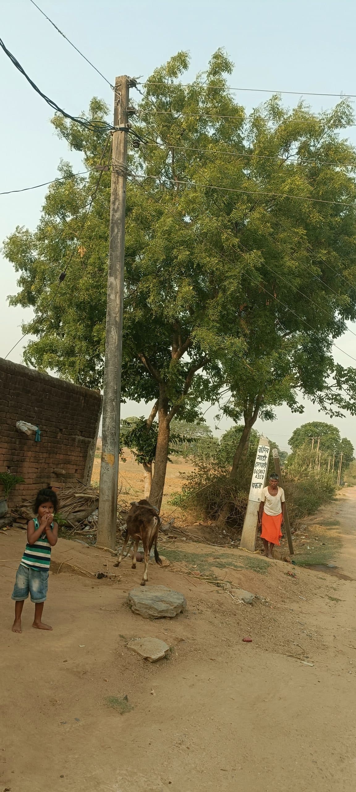 Giridih News :डोर स्टेप डिलिवरी ट्रक ने बिजली पोल तोड़ा