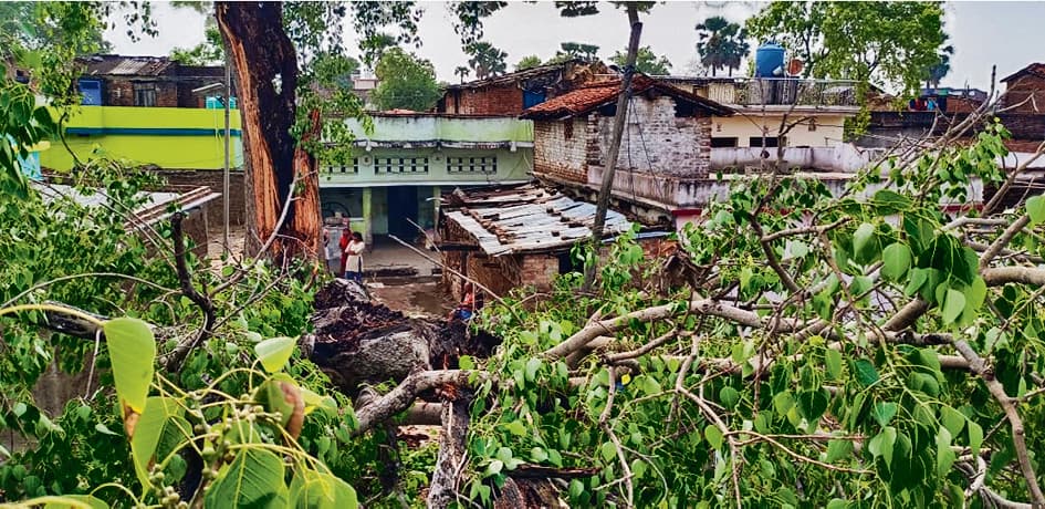 Gaya News : तेज आंधी-तूफान से भारी नुकसान, कई घर क्षतिग्रस्त, तीन मवेशियों की मौत