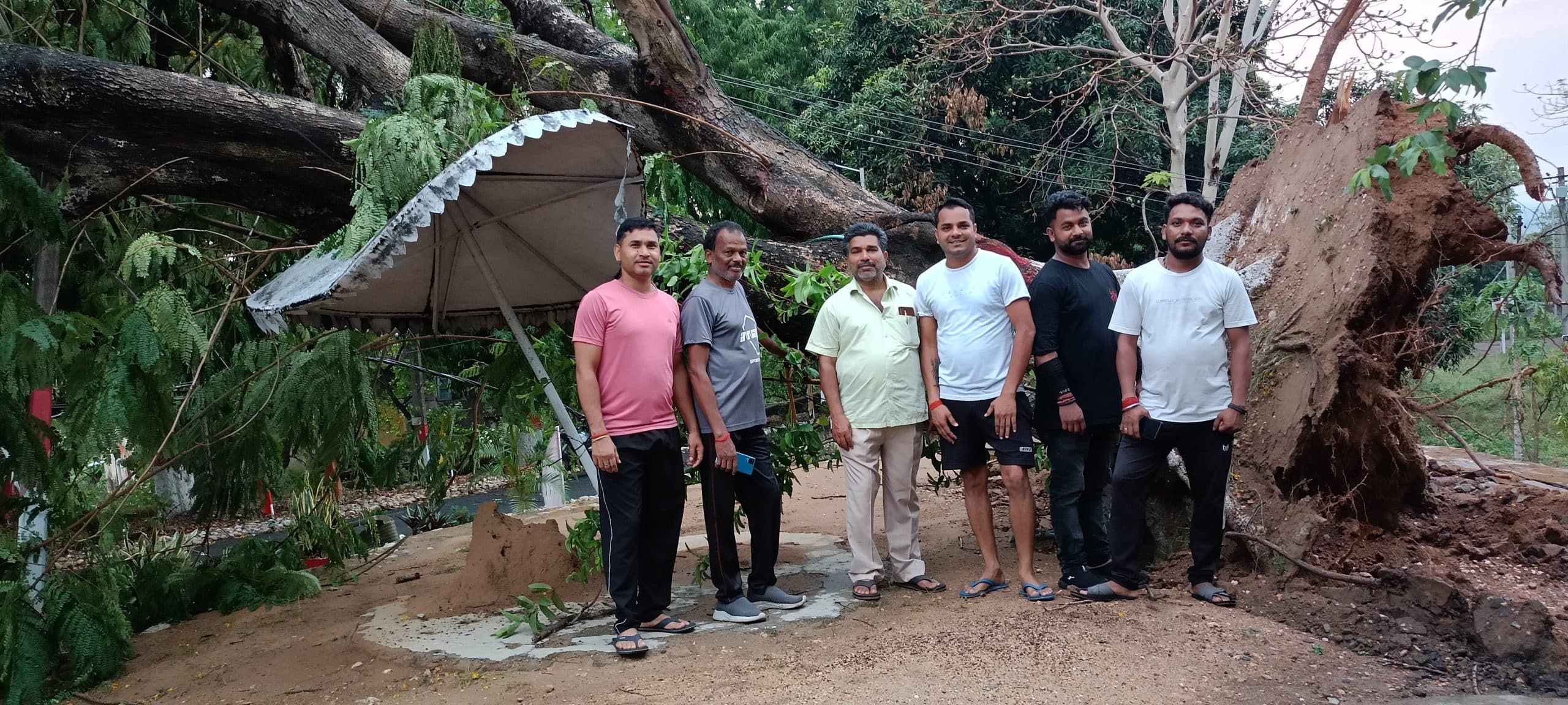 Bokaro News : एसडीओ आवास में आंधी से गिरा पेड़