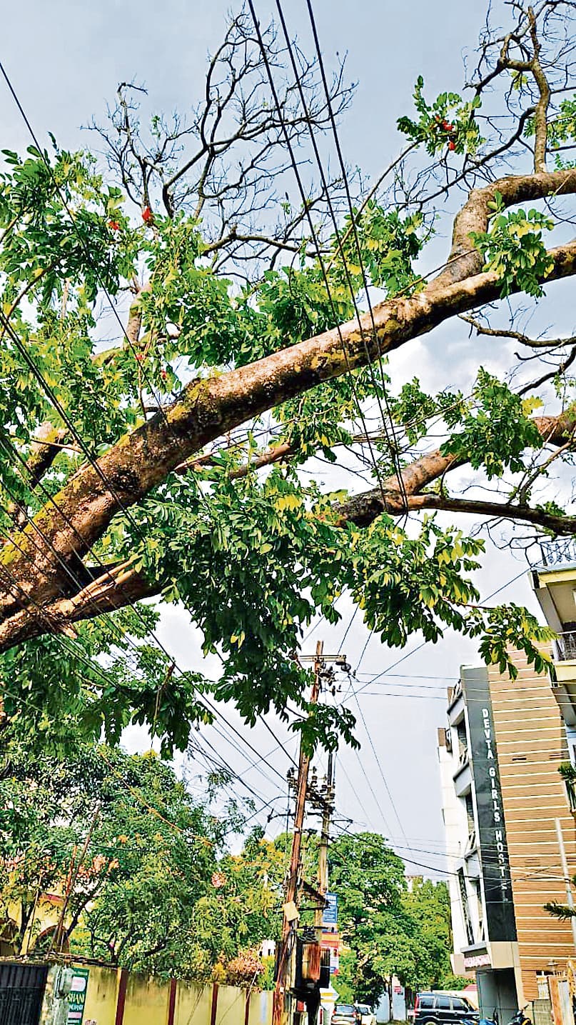 Ranchi news : आंधी-पानी से रांची के बड़े इलाके में बिजली गुल