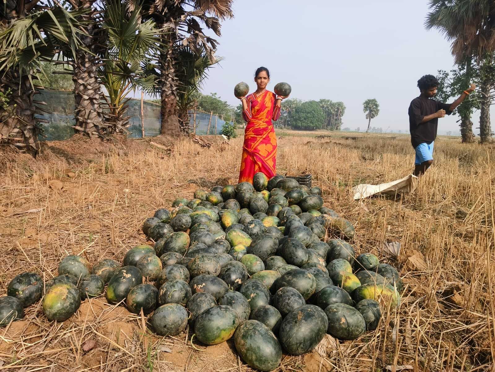 कोनिका ने तकनीकी खेती से बदली दशा