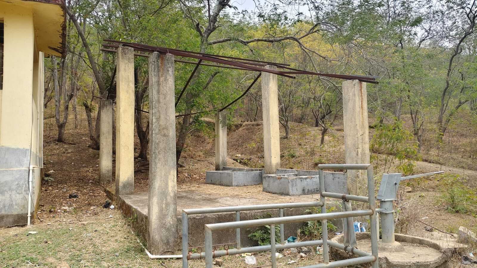 12 पंचायतों में 50 हजार पशु, पर पशु चिकित्सक का पद रिक्त