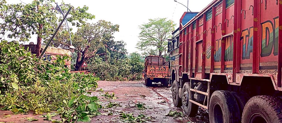 Chaibasa News : गुवा व बड़ाजामदा में कई घरों के छप्पर उड़े, रोड पर गिरे पेड़, आवागमन ठप