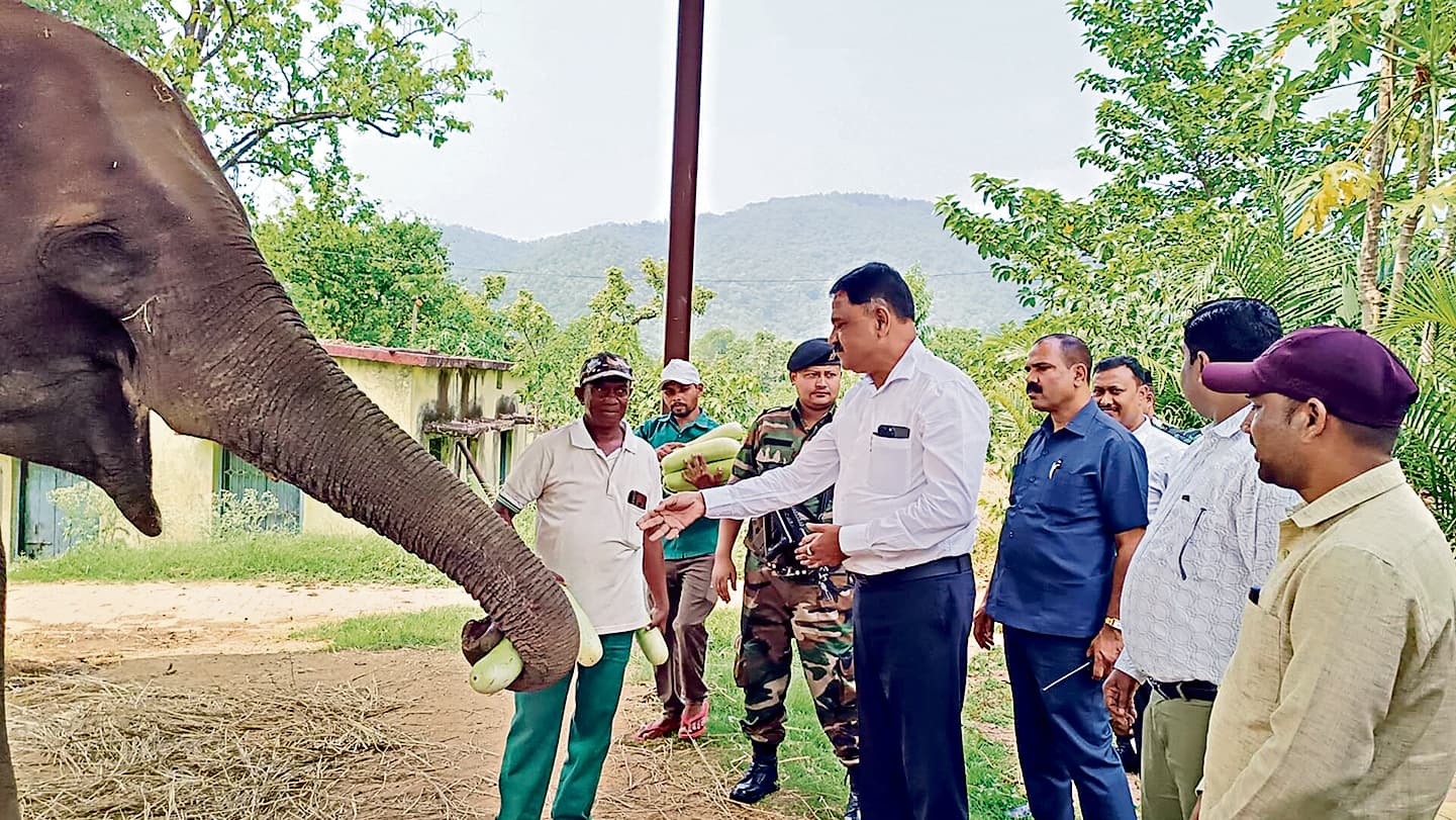 Seraikela News : दलमा में बनेगा रोप-वे व 200 फीट लंबा ग्लास ब्रिज : मंत्री