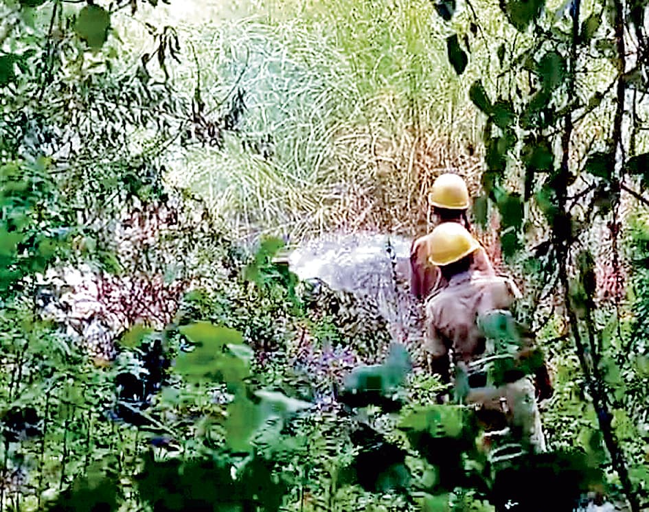 घाटाल : झाड़ियों में आग लगने से मचा हड़कंप