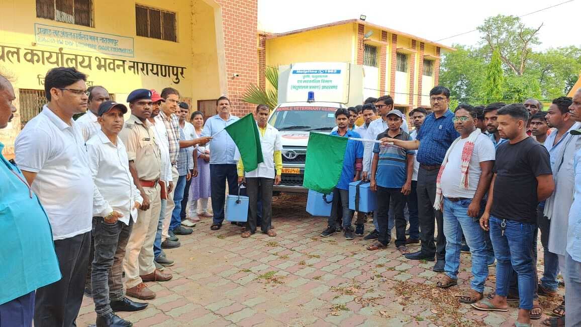 गांव-गांव में पशुओं का किया जायेगा टीकाकरण : बीडीओ