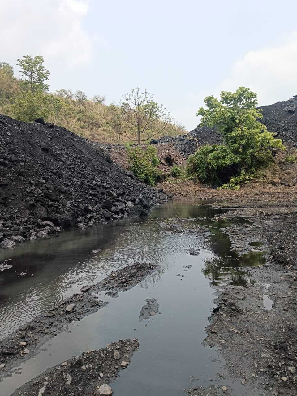 Bokaro News : पानी का पाइप फटने से कथारा वाशरी का उत्पादन बंद