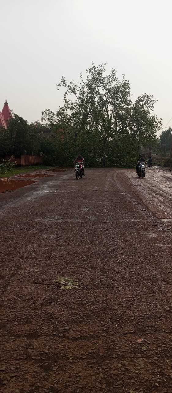 West Singhbhum News : गुवा में आंधी-पानी से बिजली आपूर्ति ठप, जनजीवन बेहाल