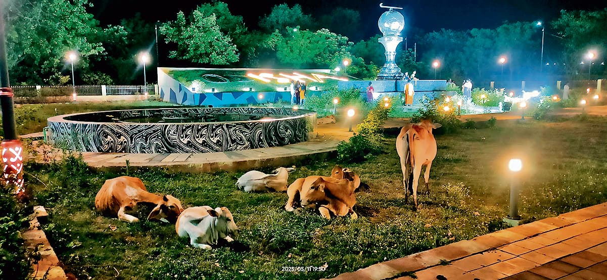 Rourkela News: लाखों रुपये खर्च कर लगायी गयी 40% डिजाइनर लाइटों की हुई चोरी, पेवर ब्लॉक उखड़े, फव्वारा पड़ा है बंद