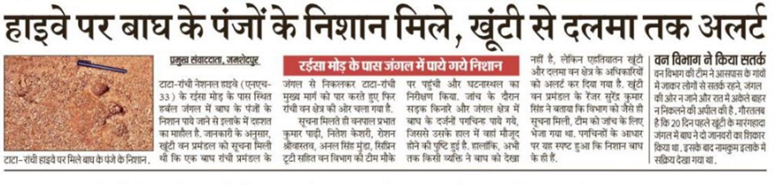 Jamshedpur News : टाटा-रांची हाईवे पर बाघ के पंजों के निशान मिलने से हड़कंप, खूंटी से दलमा तक अलर्ट
