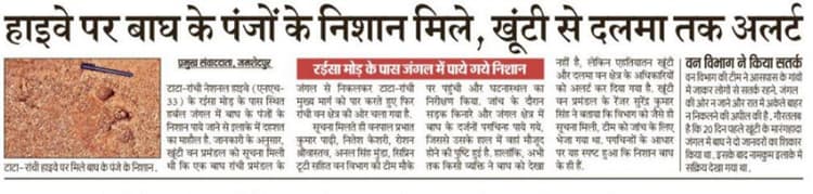 Jamshedpur News : टाटा-रांची हाईवे पर बाघ के पंजों के निशान मिलने से हड़कंप, खूंटी से दलमा तक अलर्ट