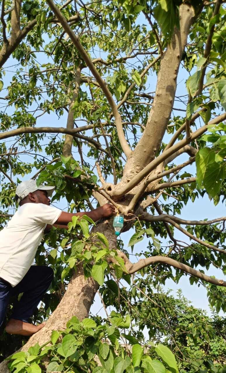 Bhagalpur News: तपती धूप में बेजुबान पंछियों के लिए की पेयजल की व्यवस्था