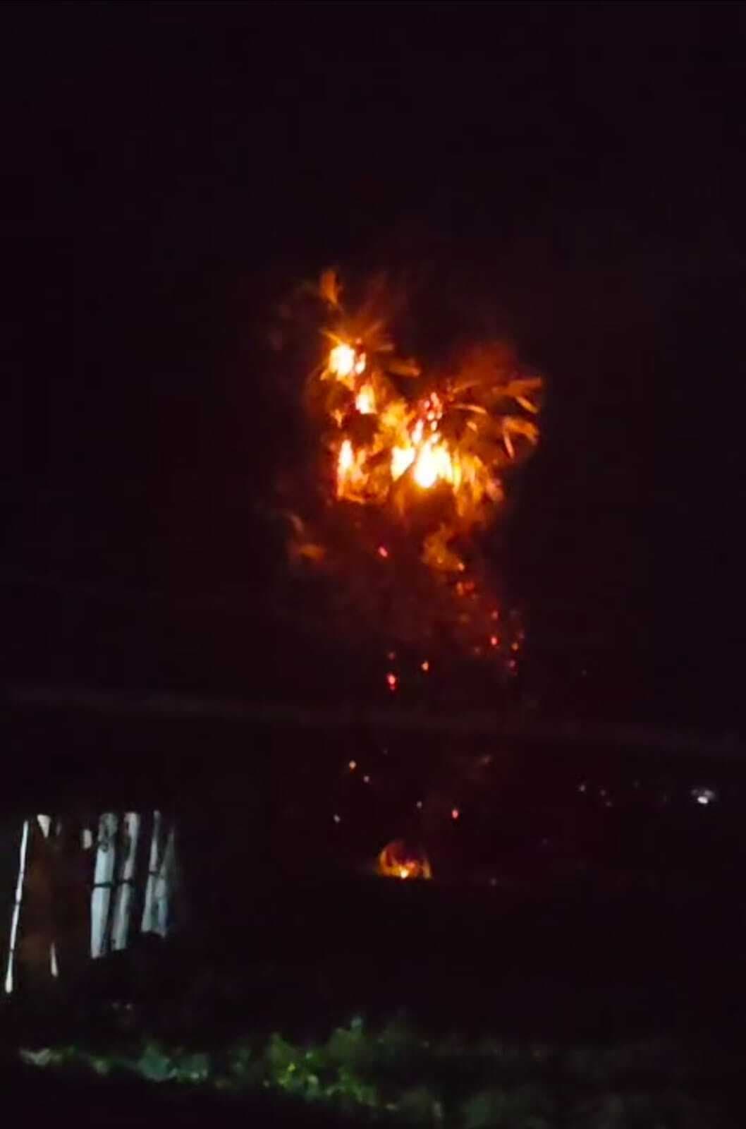 ठनका गिरने से धू-धू जला पेड़