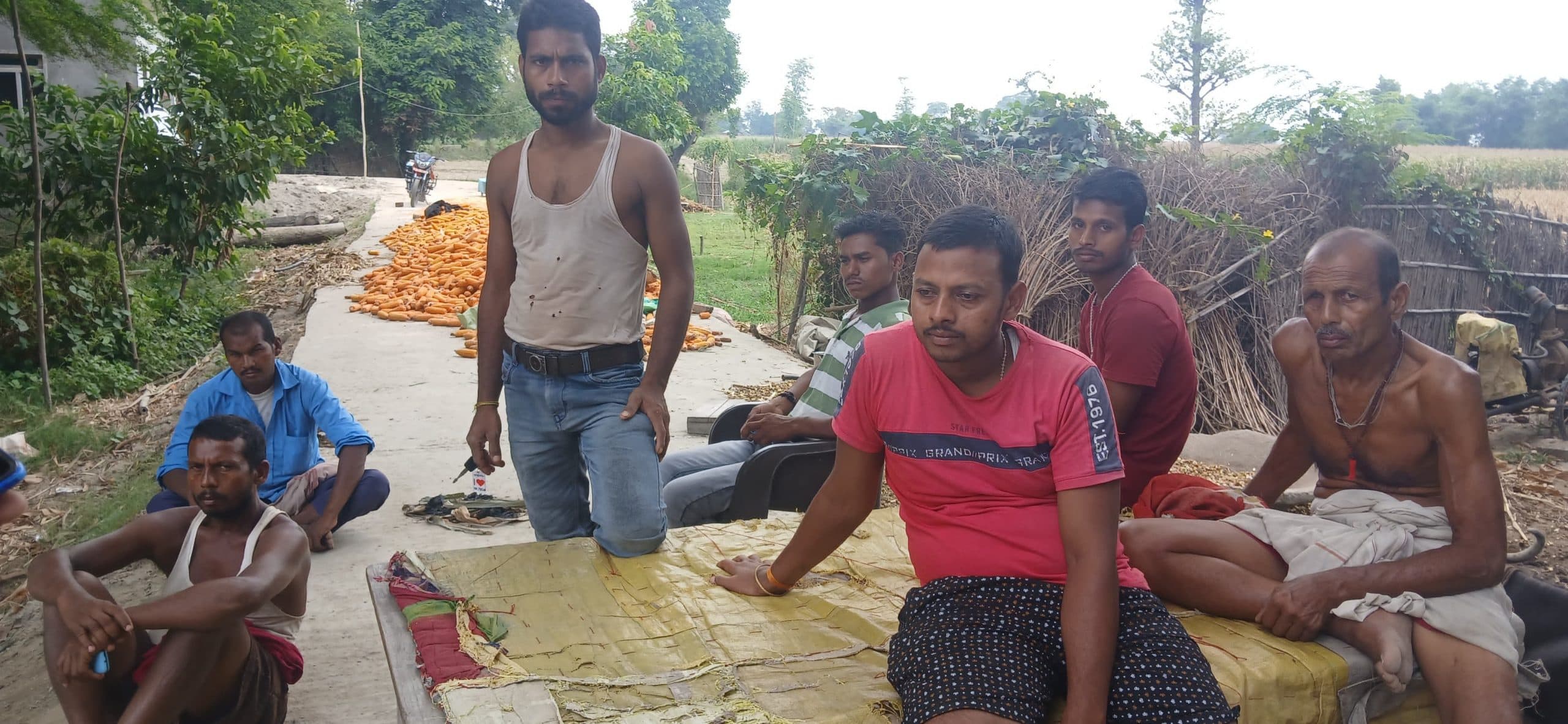 विषैले सांप के डंसने से छह वर्षीया बच्ची की मौत