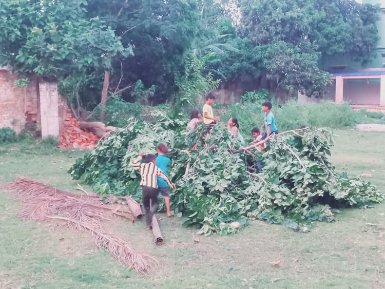 तेज आंधी से कई जगहों गिरे पेड़, हरि साह कॉलेज की टूटी चहारदीवारी