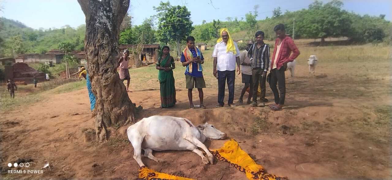 हाथी ने कई गांवों में मचाया उत्पात