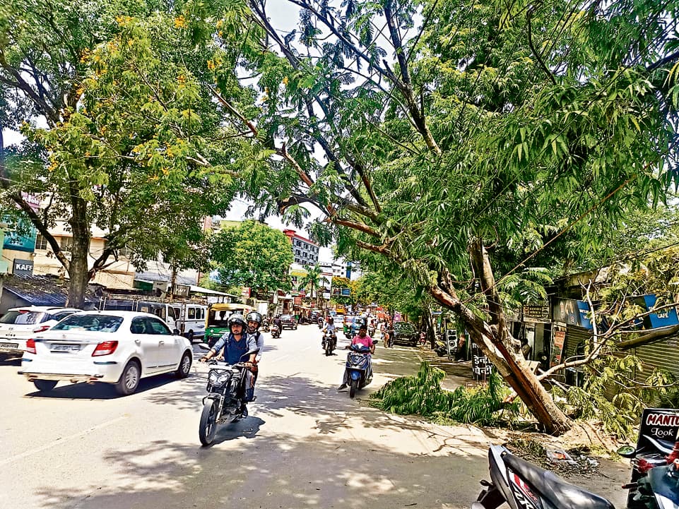 Ranchi News : 60 घंटे बाद भी कई जगहों से पेड़ नहीं हटाये गये