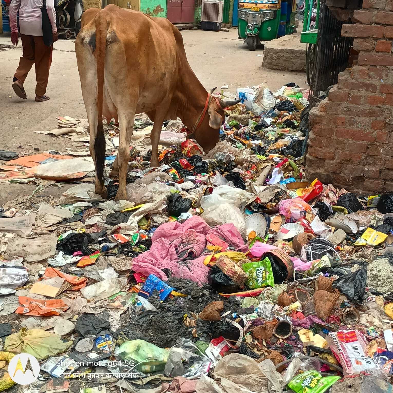 समय पर कचरा नहीं उठाने से हुई नारकीय स्थिति