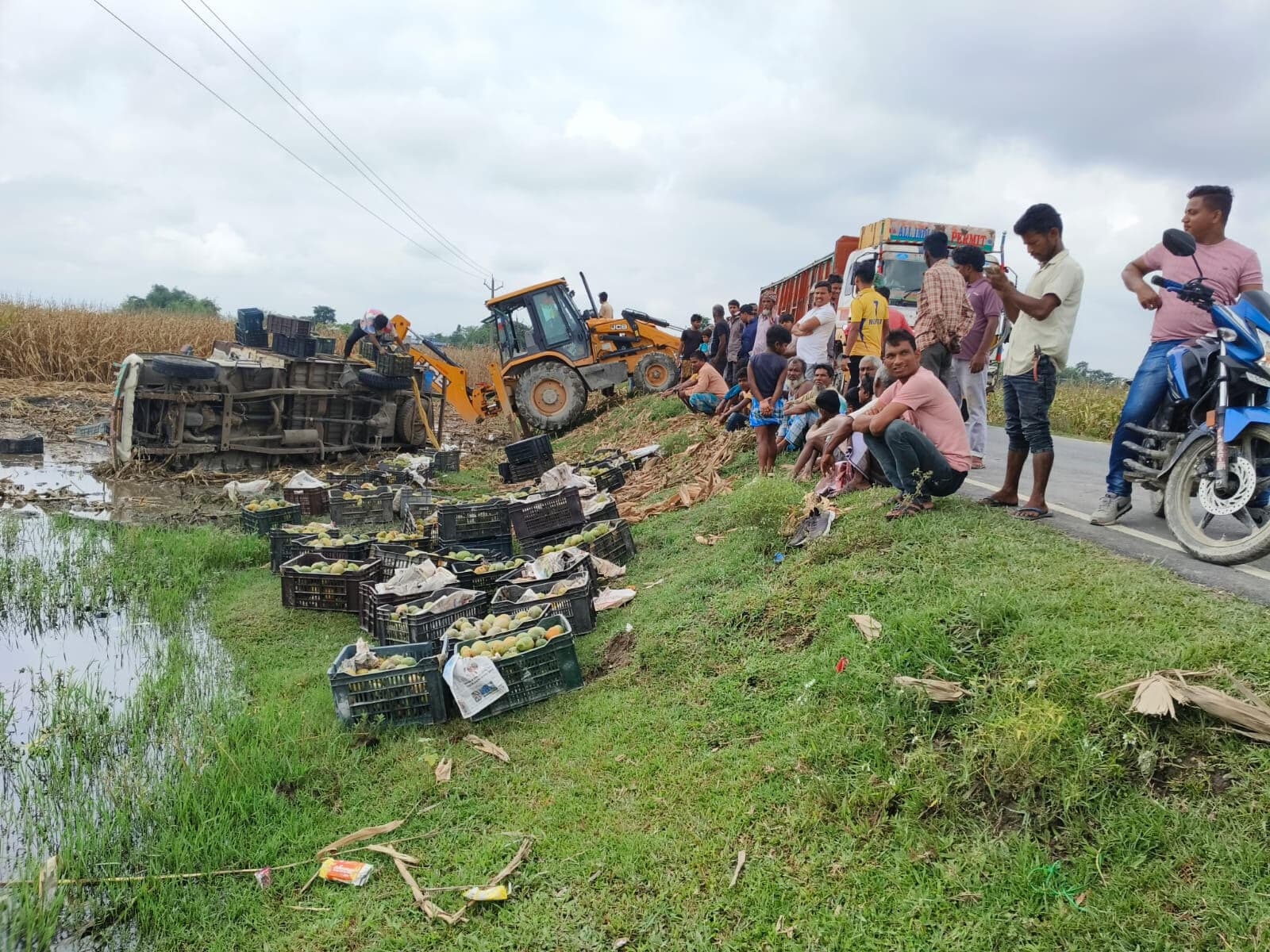 अनियंत्रित आम लदा पिकअप वैन बिजली के खंभे से टकरा कर पलटा, कोई हताहत नहीं