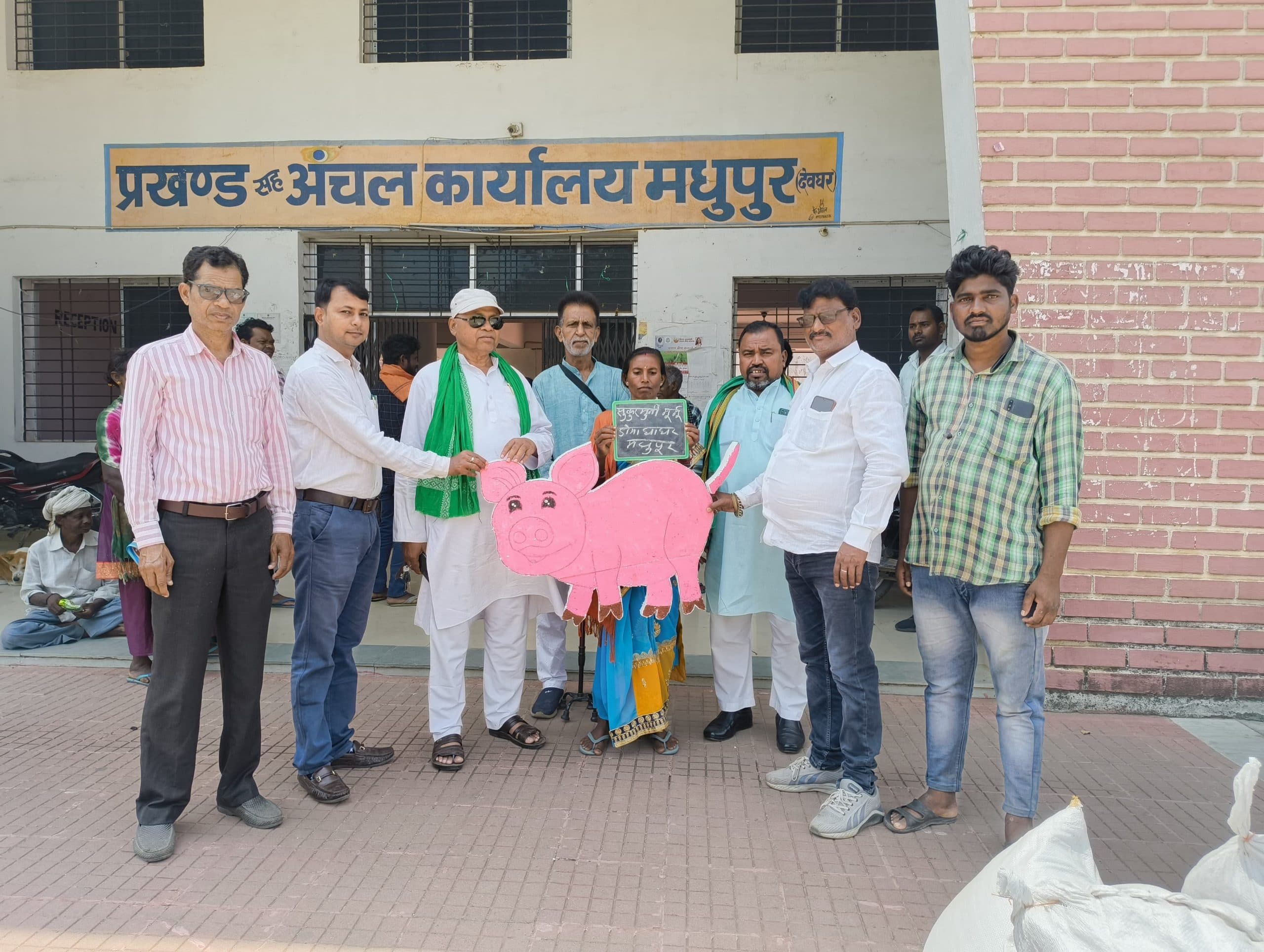 पशुपालकों के बीच सुकर वितरित