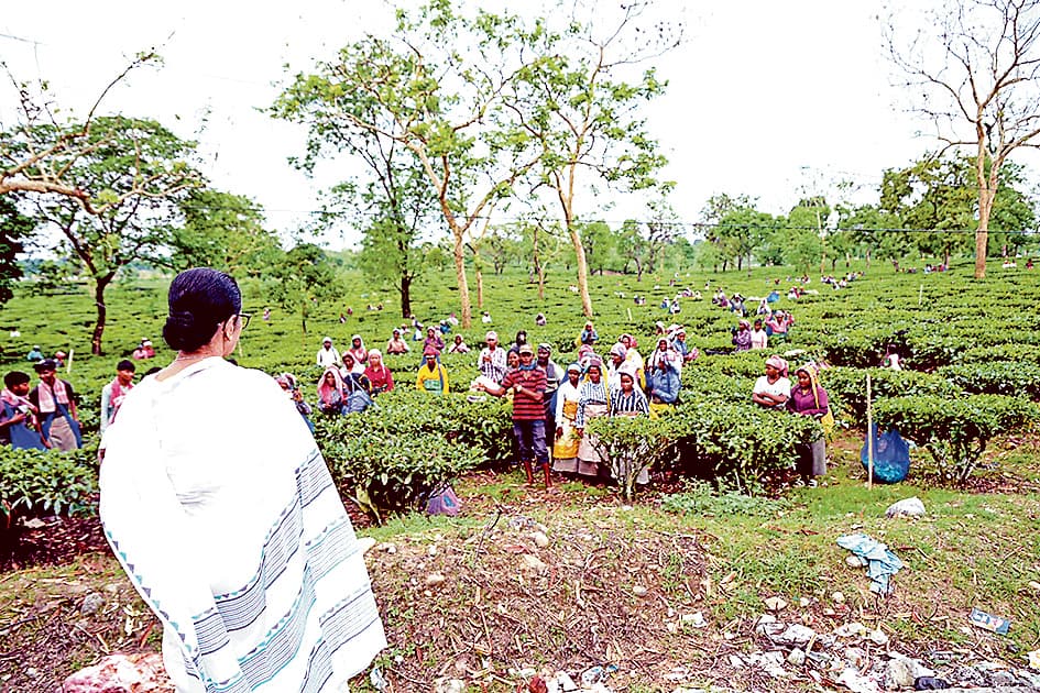 वोटर लिस्ट में कथित अनियमितताओं पर सीएम ने जतायी चिंता