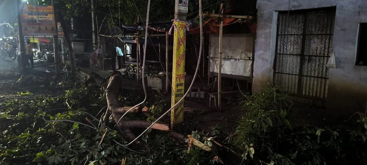 GIRIDIH NEWS: तेज आंधी में सब्जी विक्रेताओं पर पेड़ गिरा, महिला की मौत, तीन घायल