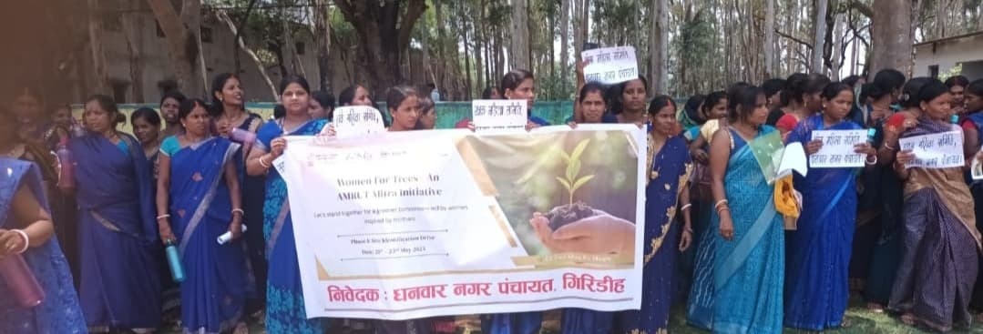 GIRIDIH NEWS: धनवार नपं क्षेत्र में पौधरोपण अभियान शुरू