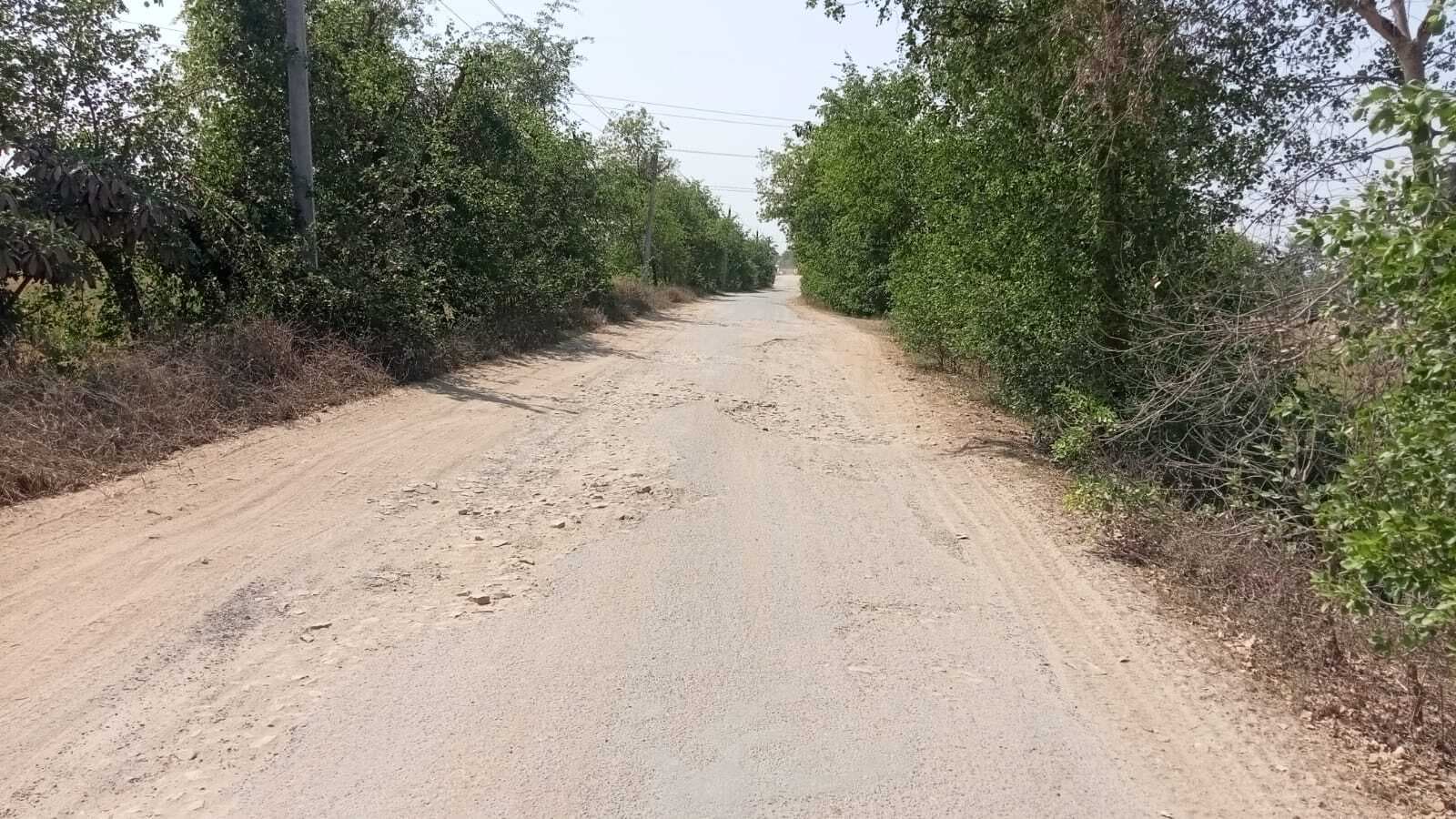 डीहरा-गोलउडीह सड़क गड्ढे में तब्दील, दुर्घटना की आशंका