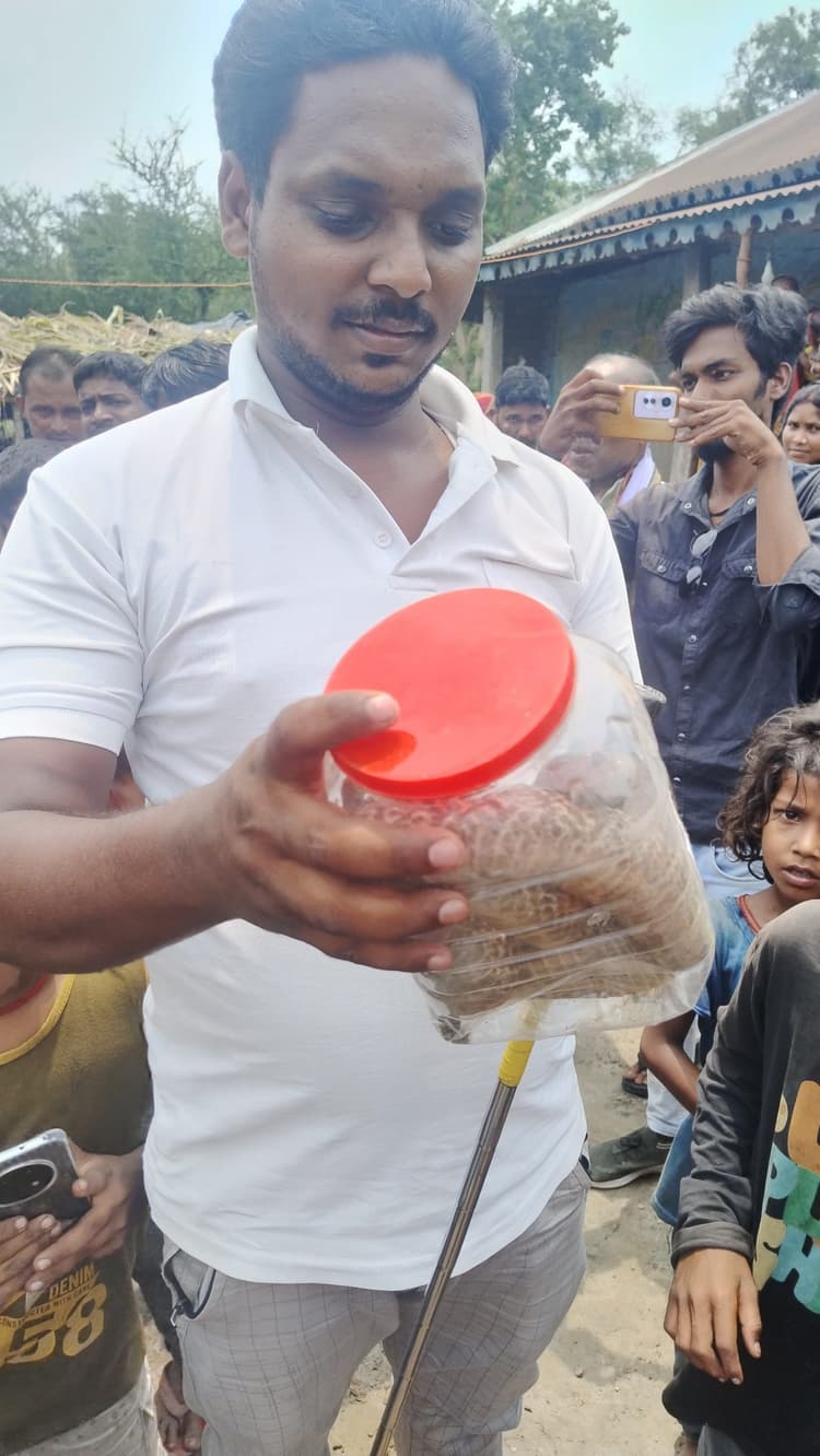 वन विभाग ने विषैला सांप का किया रेस्क्यू