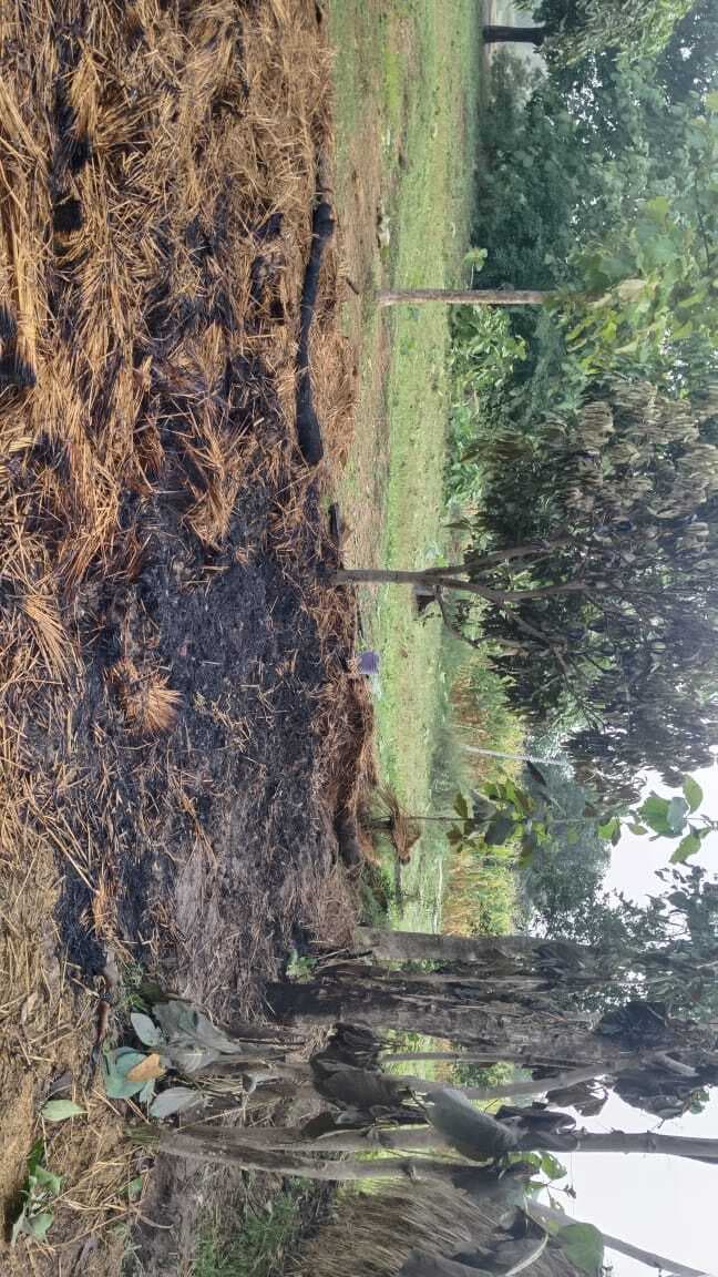 वज्रपात से पुआल का पुंज हुआ खाक