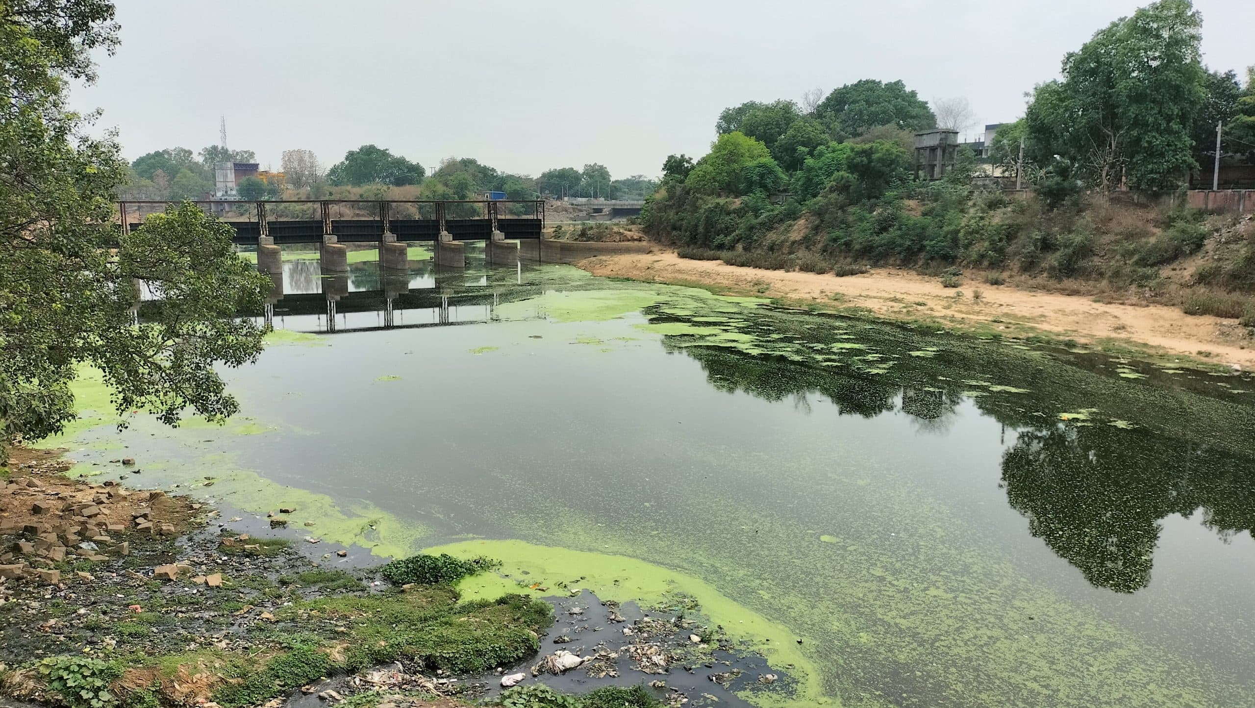 Sasaram News : एक जून से नहीं, खरीफ फसल के लिए 15 को बराज से नहरों में छोड़ा जायेगा पानी