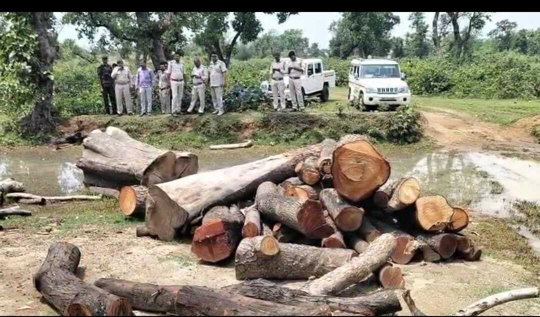 पालोजोरी : वन विभाग ने अवैध आरा मिलों को किया ध्वस्त