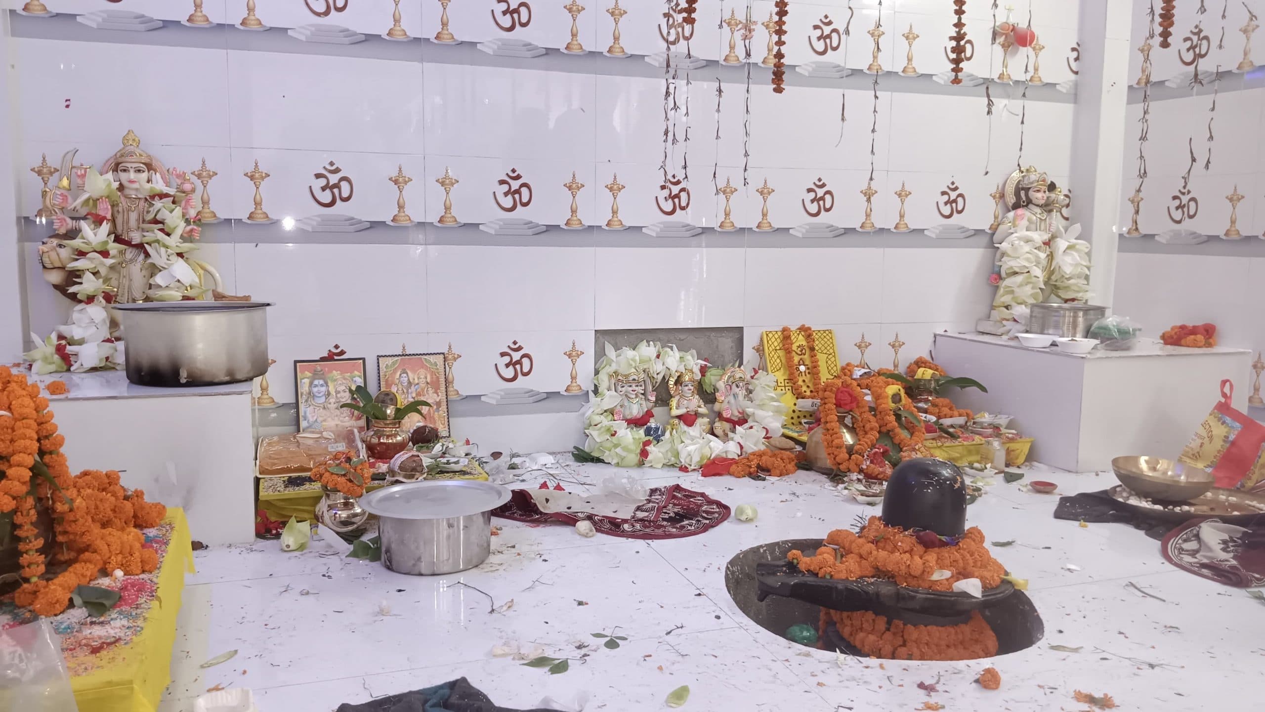 महेशपुर में मां भवानी की प्राण प्रतिष्ठा समारोह संपन्न