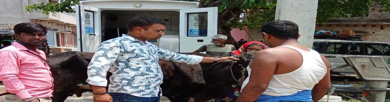 गांव में बीमार पशुओं के इलाज के लिए मोबाइल एम्बुलेंस की सेवा से लोग उत्साहित